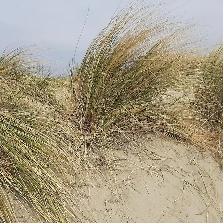 Apartamento Gounod Nieuwpoort